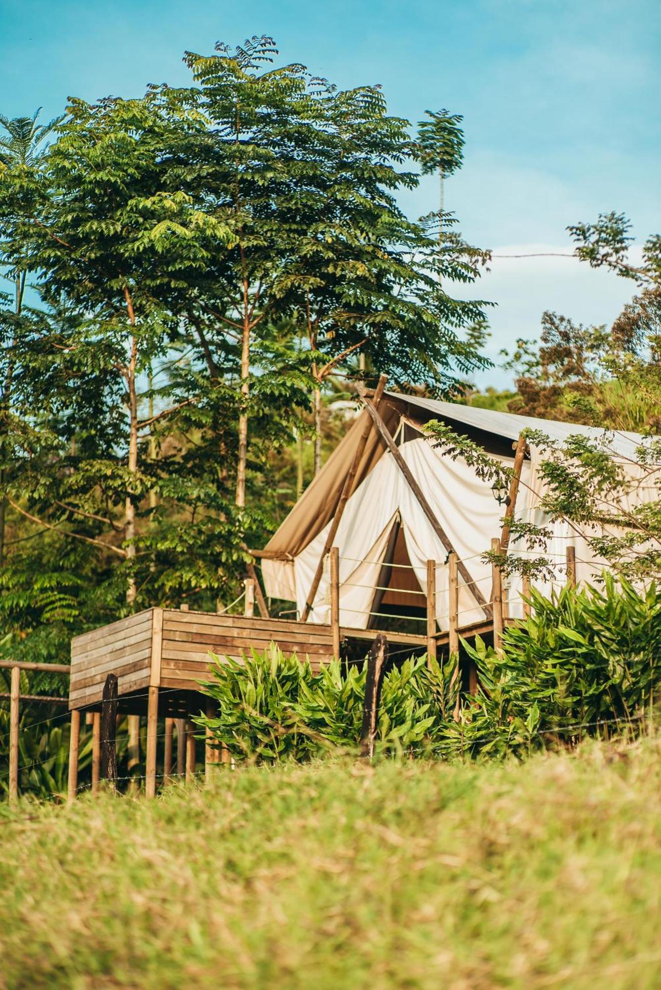 Glamping Entre Rios Hotel Calarcá Екстериор снимка